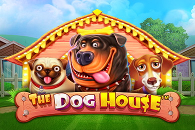 The Dog House слот онлайн 1Вин Казино